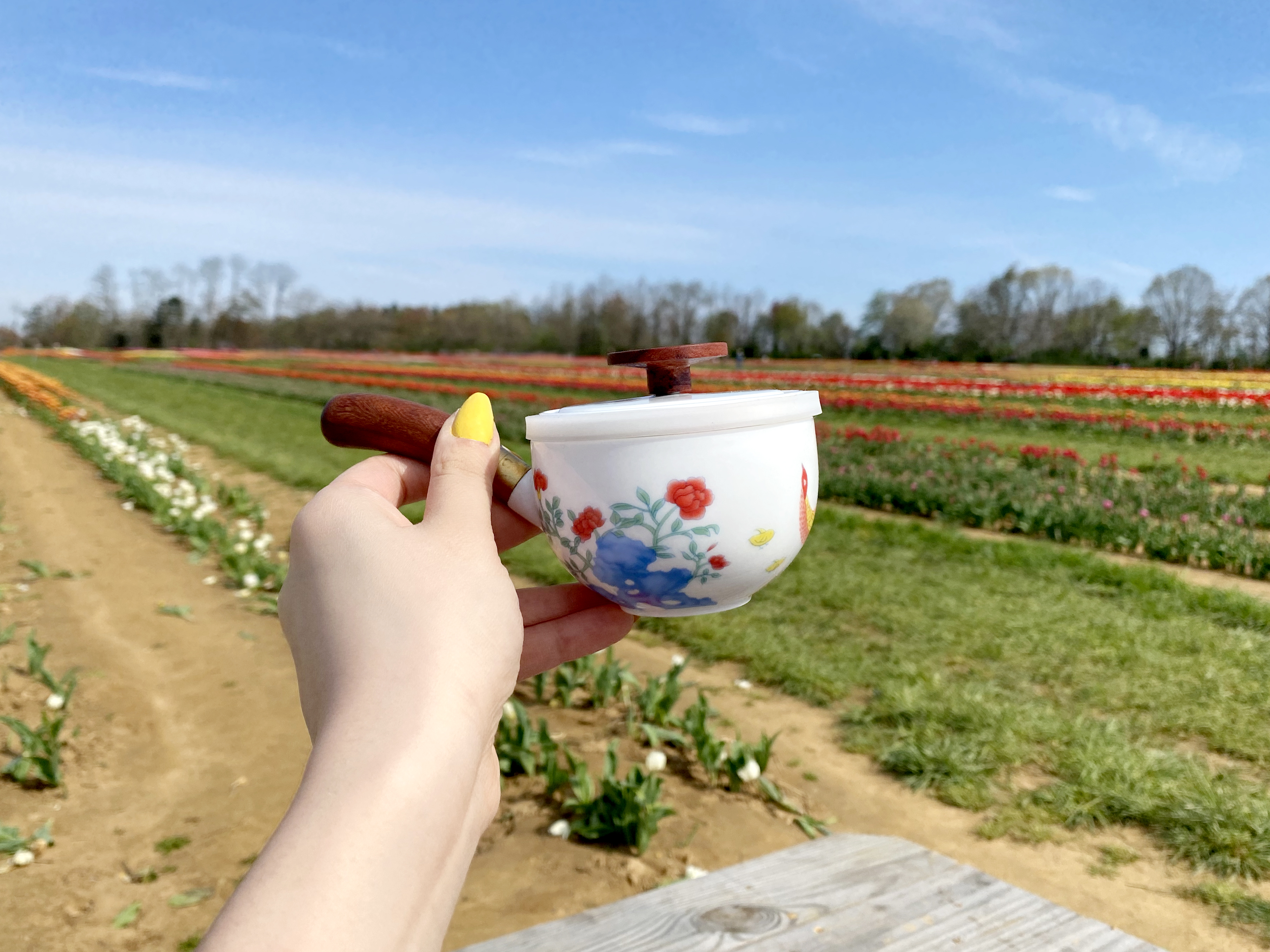Porcelain Compact Travel Tea Set For Two - Jingdezhen